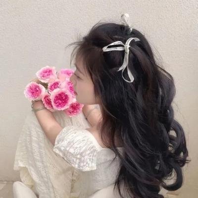 哈吉布基的森林冒险